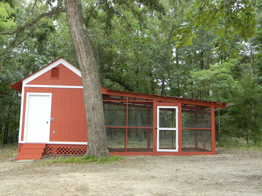 Outbuilding construction — custom painted barn with run, East Texas